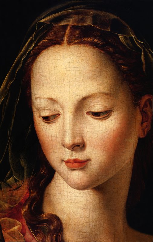 Agnolo+Bronzino-1503-1572 (13).jpg